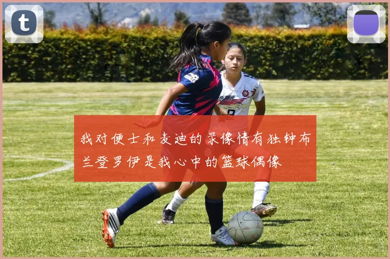 我对便士和麦迪的录像情有独钟布兰登罗伊是我心中的篮球偶像