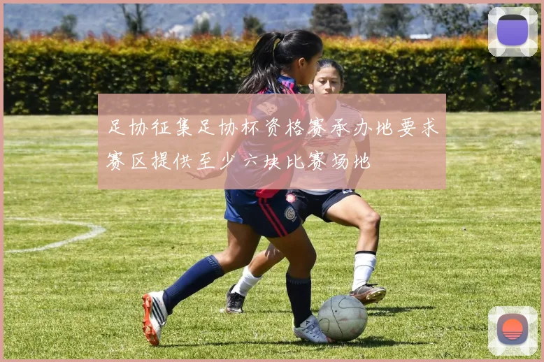 足协征集足协杯资格赛承办地要求赛区提供至少六块比赛场地