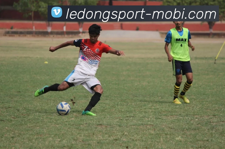 乐动体育平台生态图