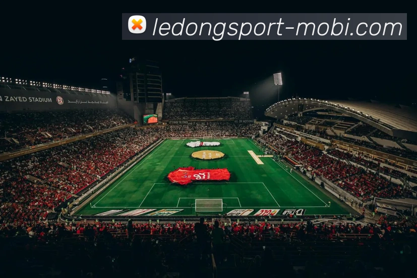 乐动体育APP 封面图