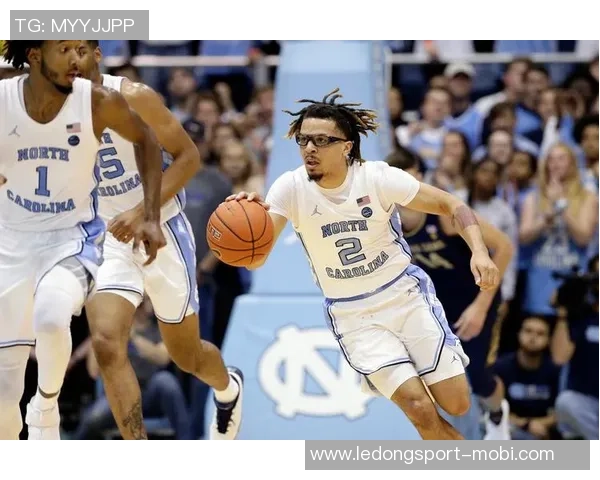 科尔安东尼赞罗林斯全面能力享受与他并肩作战的快乐时光